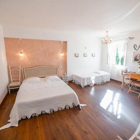 Palaja Domaine De Marseillens B&B 외부 사진